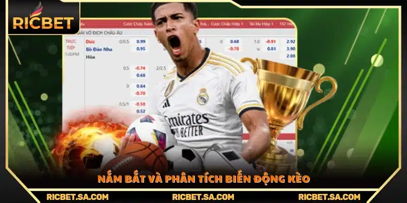 Theo dõi và đánh giá xu hướng biến động tỷ lệ cược