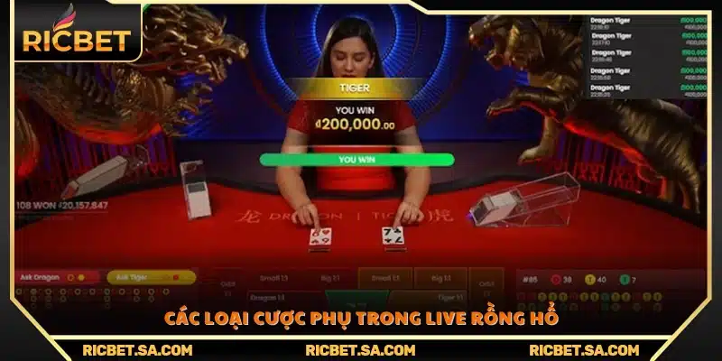 Danh sách và ý nghĩa các cửa cược phụ trong game
